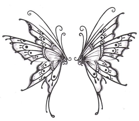 Butterfly Wings Drawing At Getdrawings Free Download
