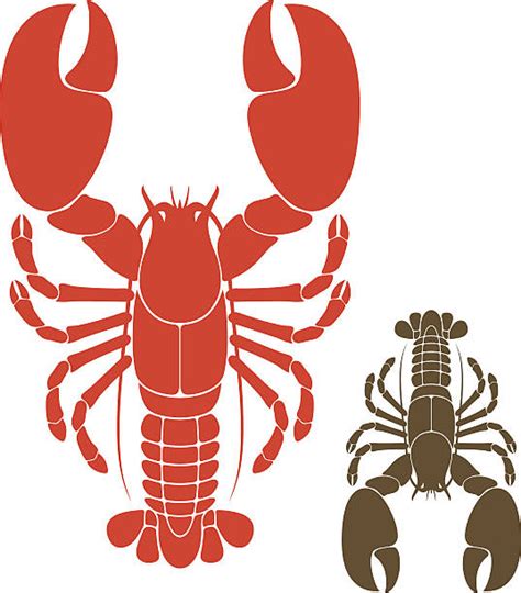 Royalty Free Lobster Clip Art Vector Images And Illustrations Istock