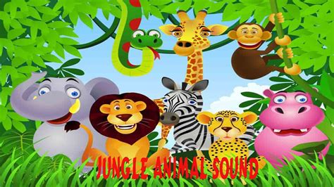 The Animal Sound Jungle Animal Sound Android Game Eduacation Kids