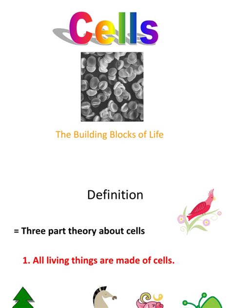 The Building Blocks Of Life Pdf Endoplasmic Reticulum Cell Biology