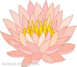 Lotus plants clipart - Clipground