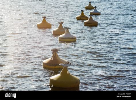 Lots Of Yellow Buoys Floating On Water In Marina Stock Photo Alamy