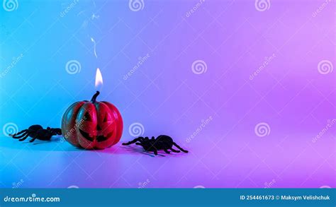 Halloween Background Scary Spooky Pumpkin Black Night Spider On Night