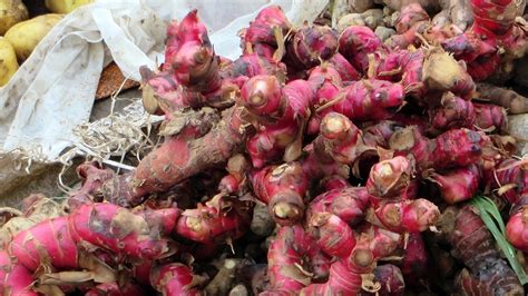 Penggunaan jeruk nipis bisa diminum atau dioleskan pada wajah. Manfaat Jahe Merah Untuk Diet dan Kecantikan Wajah