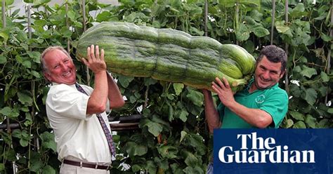 Giant Vegetables In Pictures Food The Guardian