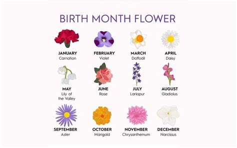 April Birth Flower Birth Month Flowers September Flower Giving