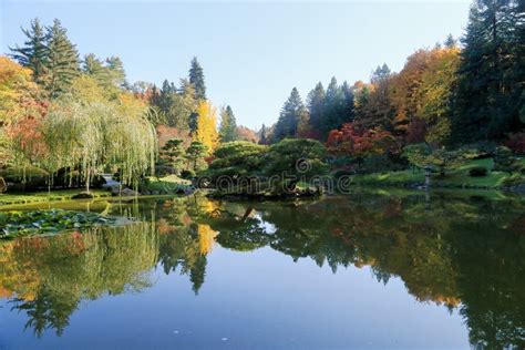 Full Of Beautiful Fall Colors At Japanese Garden Seattle Washington