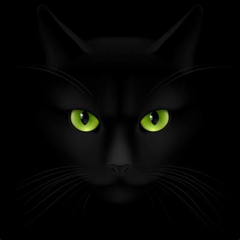 Cabeza De Gato Negro Vector Gráfico Vectorial © Dvargg Imagen 70313967