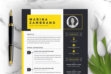 Which one should you use? Minimalist Clean Resume / CV Template for Web Developer ...
