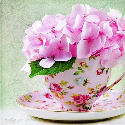Pin By Marisela Cervantes On Flowers Teacup Flowers Pretty Tea