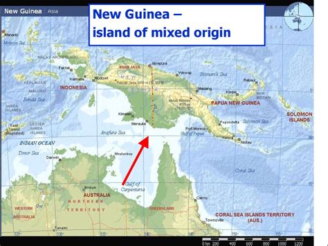 Island Biogeography Diversity On Regional Scale презентация онлайн