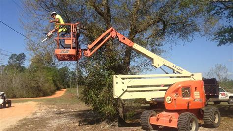 Lift For Tree Trimming Palm Beach County Pro Tree Trimming And