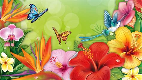 Flowers And Butterflies Hd Wallpaper Background Image