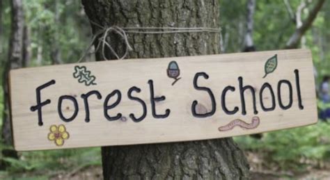 Forest School Brock House Day Nursery In Taunton