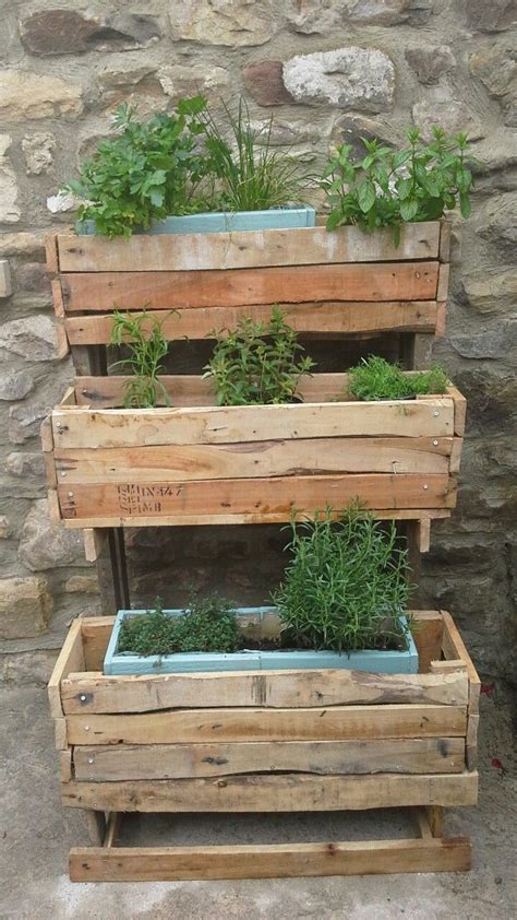 My New Rustic Herb Garden Rustic Herb Herb Garden Green Thumb