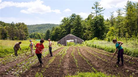 new gleanings from a jewish farm the new york times