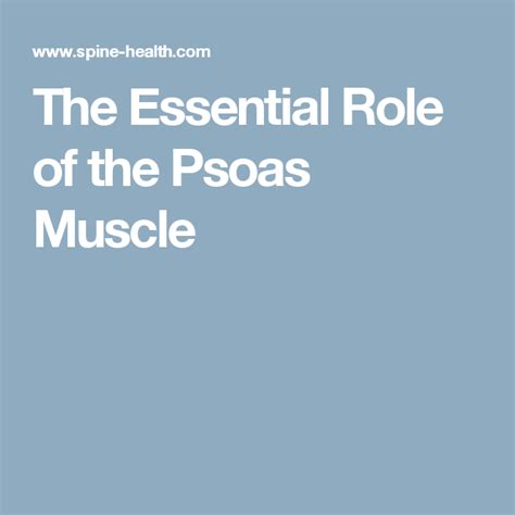The Essential Role Of The Psoas Muscle Spine Health Psoas Muscle The
