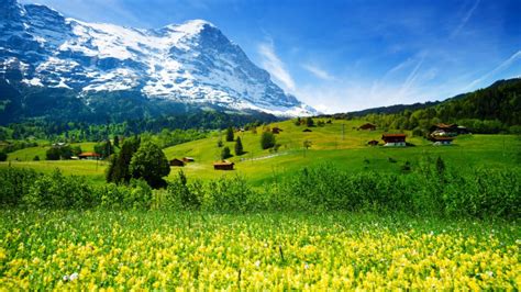 Wallpaper Switzerland 5k 4k Wallpaper Mountains Meadows