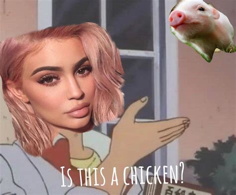 Kylie Jenner Is That A Chicken Meme Famous Person