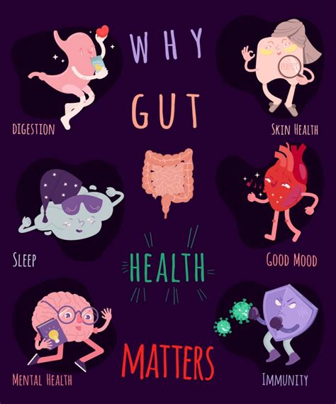Why Is Gut Health Important Healthier Steps