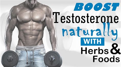 Low Testosterone Meaning In Hindi Sukses Matematika