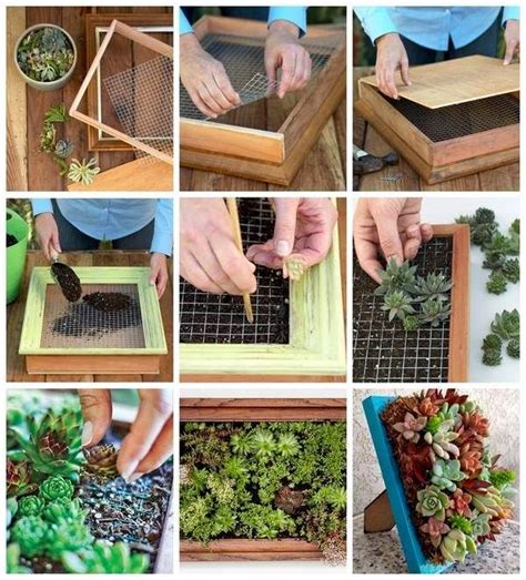 How To Make Succulent Living Wall In Picture Frame Instructions