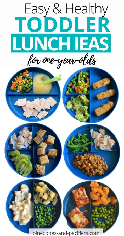 Food for 1 year old. 15 Easy Toddler Lunch Ideas For 1-year-olds - Pinecones ...