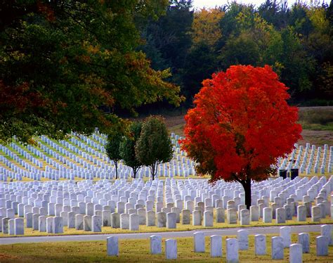 This is my winning photograph in the "Freedom" category on the Muskogee