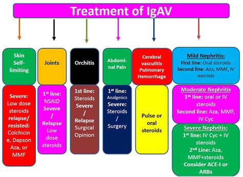 Systemic Treatment Plan For Immunoglobulin A Vasculitis Ace I