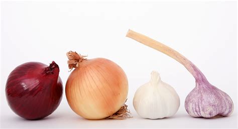 The Benefits Of Garlic And Onions Health Benefits