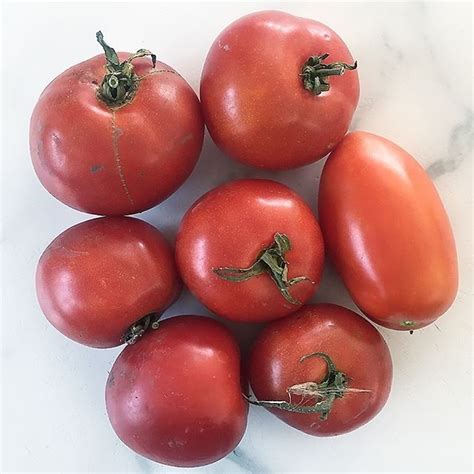 Littlenutrition Posted To Instagram Love Having Fresh Tomatoes From