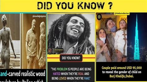 Did You Know These Amazing Facts Amazing Facts You Should Know I