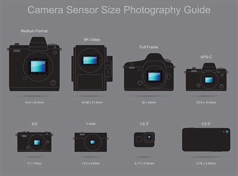 Camera Sensor Sizes And Types Compared And Explained