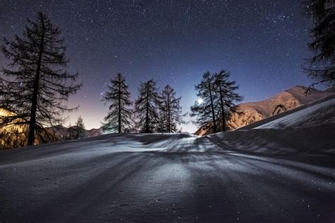 Photography Nature Landscape Trees Night Mountain