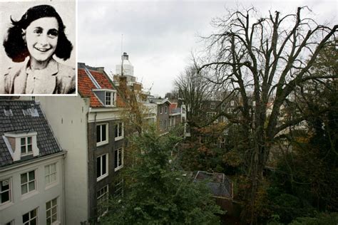 Anne Frank Chestnut Tree Stolen From German School