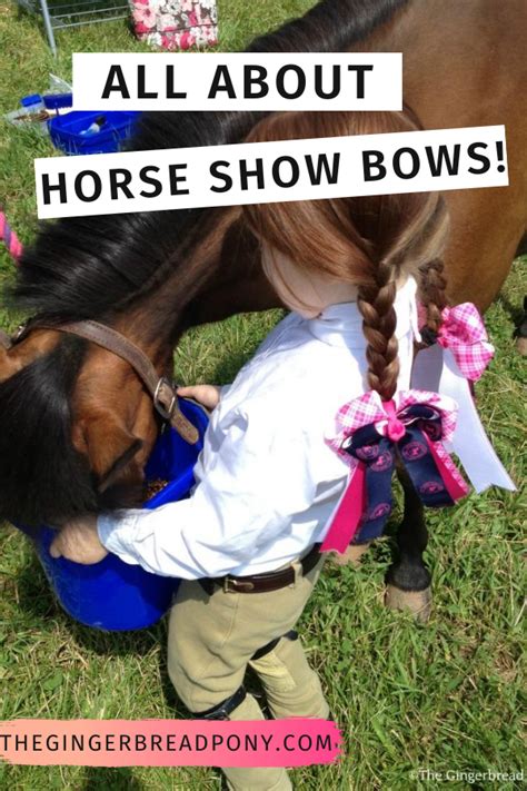 Why Do Girls Wear Horse Show Hair Bows Artofit