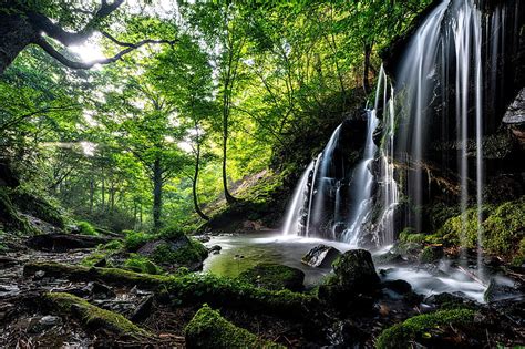 Waterfalls Waterfall Forest Greenery Nature Rock Hd Wallpaper