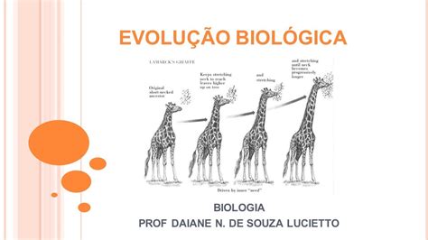Em Biologia A Evolucao Pode Ser Definida Como