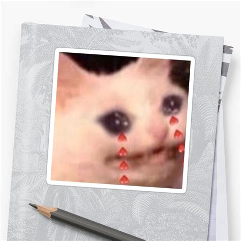 Crying Cat Meme Sticker By Lavrxn Redbubble
