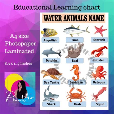 Water Animals Name Kids Chart Educational Learning Materials