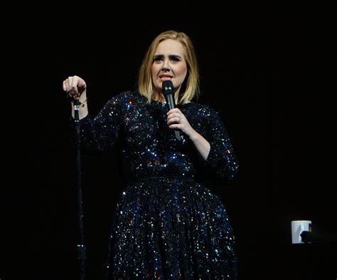 Adele Plans To Try For Second Baby When Her Tour Finishes Next Month