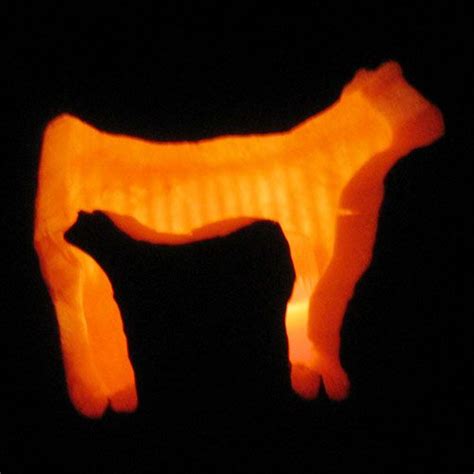 Cow With Calf Pumpkin Carving Holidays Pinterest