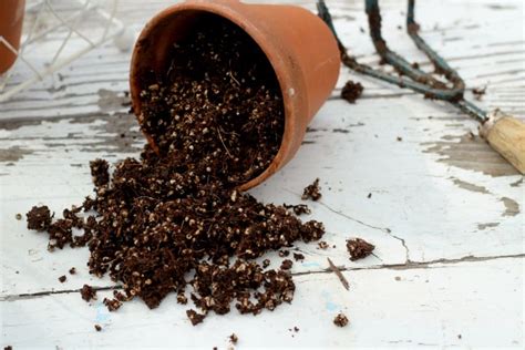 Homemade Potting Soil Recipe