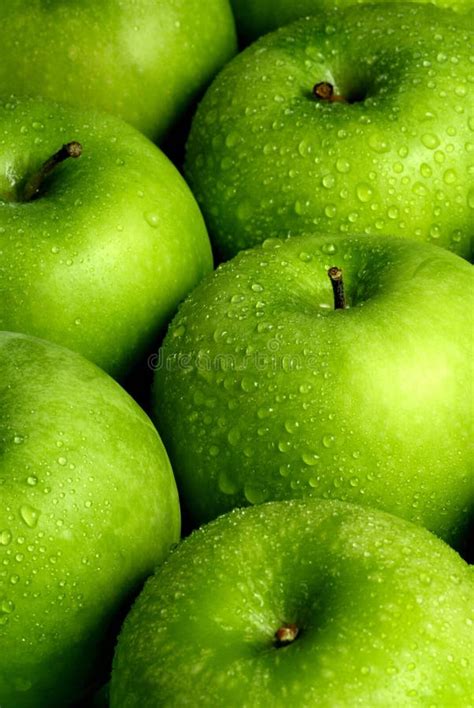 Green Apples Background Royalty Free Stock Images Image 7085439