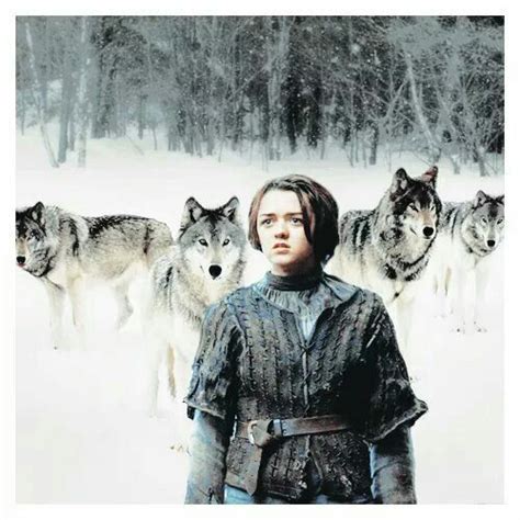 She Wolf Arya Stark A Song Of Ice And Fire Game Of Thrones Costumes