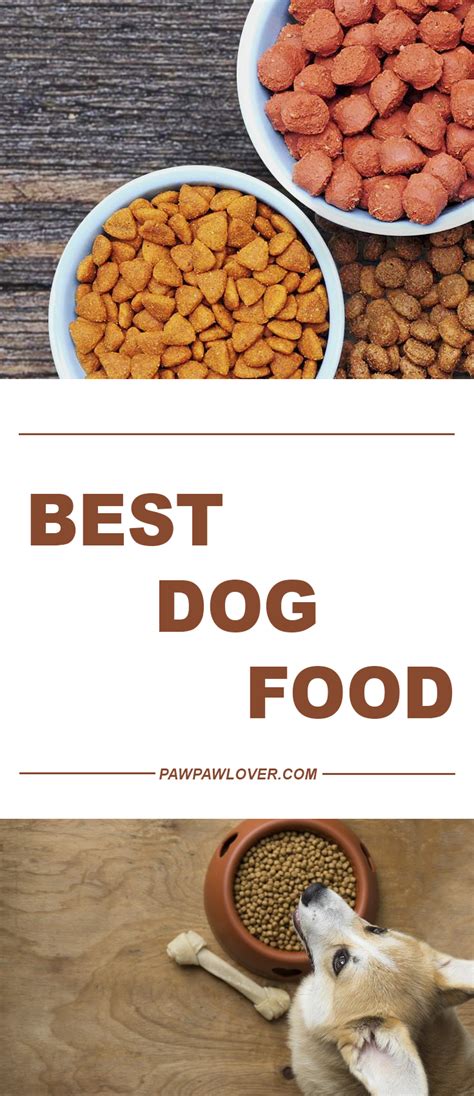 Here are the dog food advisor's top 20 best dry dog food brands for the current month. 10 Best Dog Food Brands (Dry & Canned): 2020 Dog Food ...