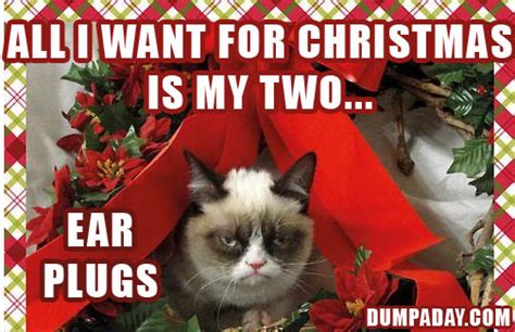 Christmas Grumpy Cat Quotes Quotesgram