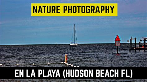 Nature Photography En La Playa De Hudson Florida Hudson Beach 2020