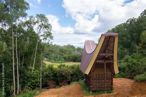 Tongkonan Houses Traditional Torajan Buildings Tana Toraja Is The