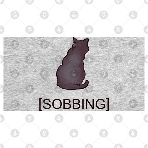 Sad Crying Sobbing Corner Black Cat With Subtitle Meme Cat Memes T